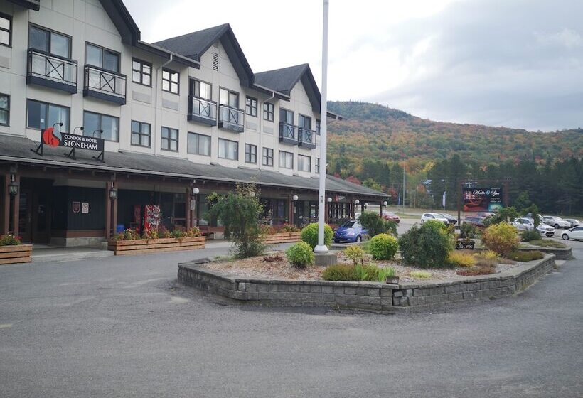 Отель Stoneham