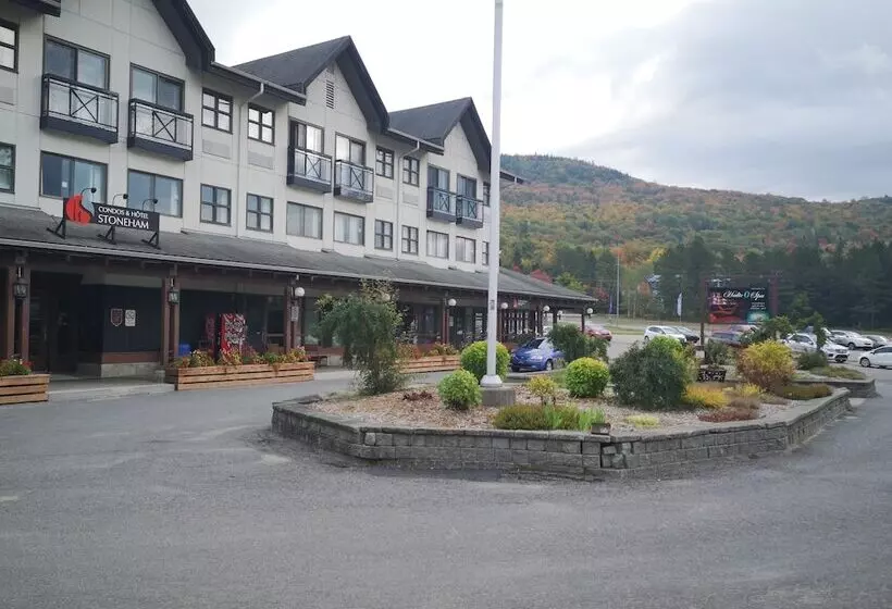 בית מלון כפרי Stoneham