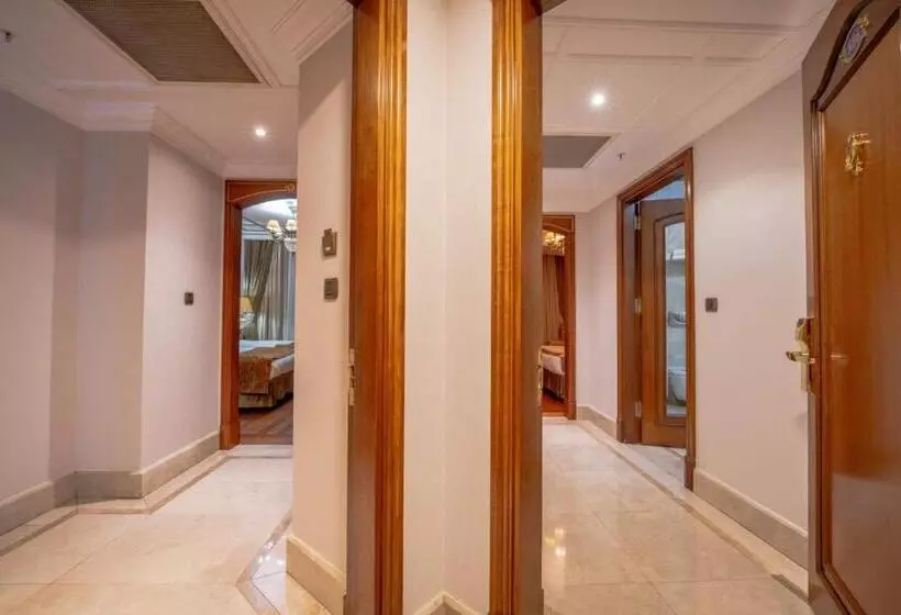 هتل The Central Palace Taksim