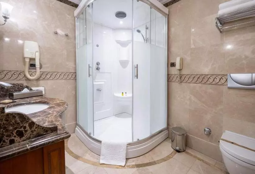 هتل The Central Palace Taksim