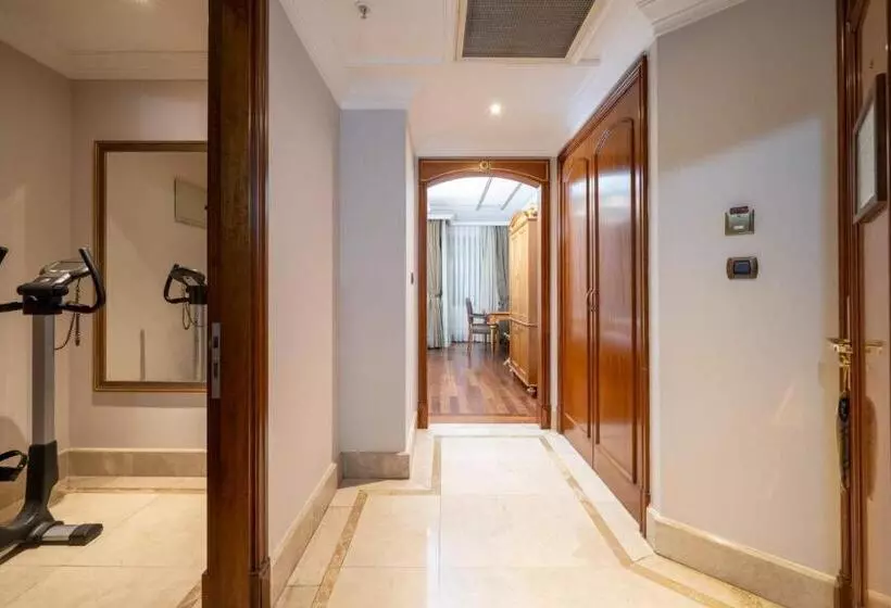 هتل The Central Palace Taksim