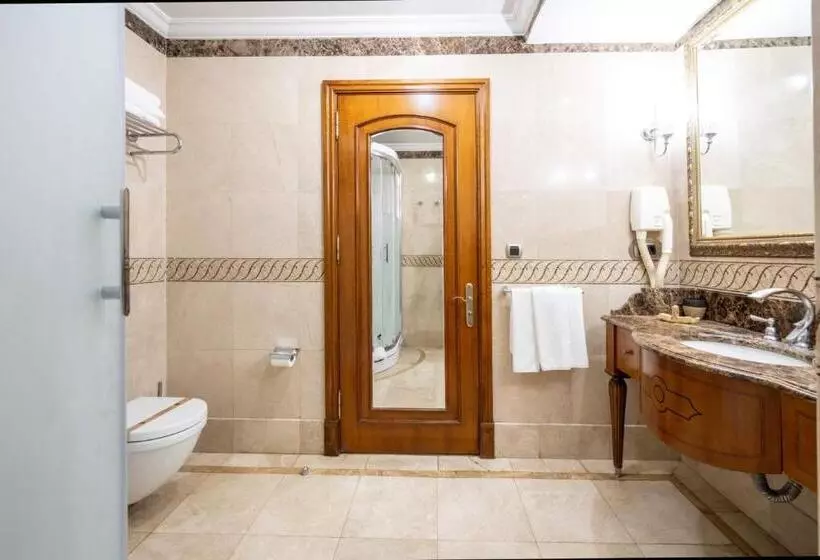 هتل The Central Palace Taksim