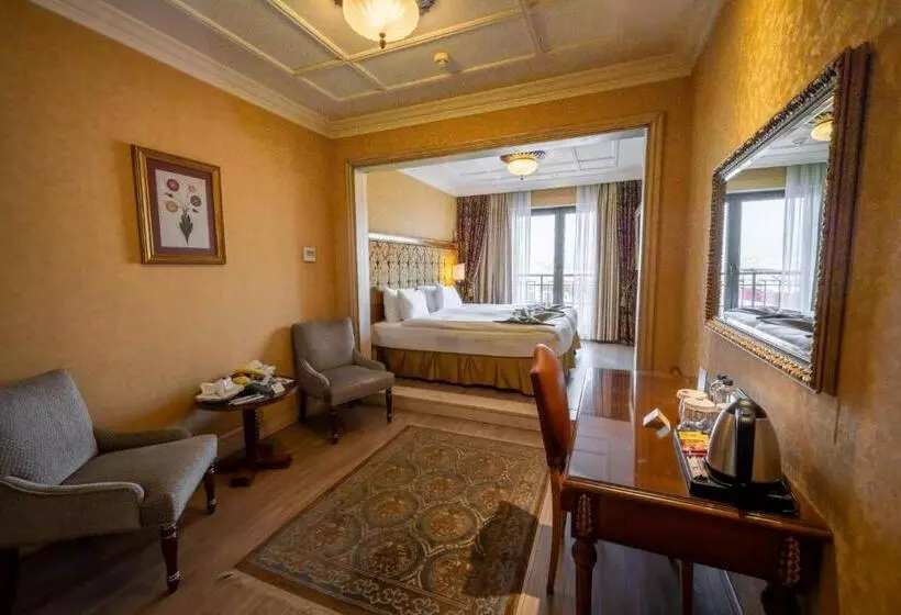 هتل The Central Palace Taksim