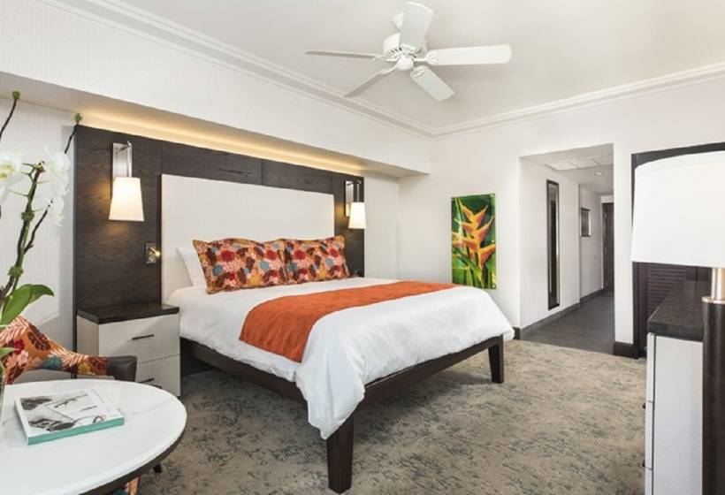 The Palms Hotel & Spa