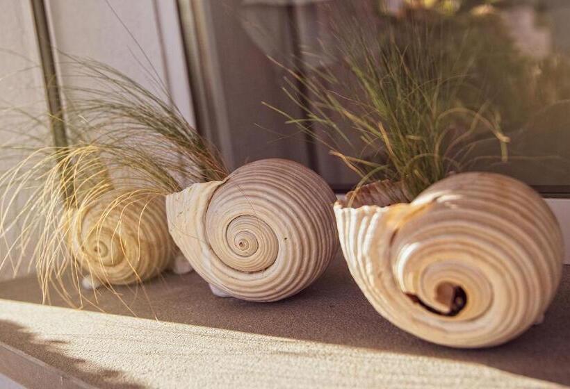 Bed and Breakfast Affittacamere Villa Masá