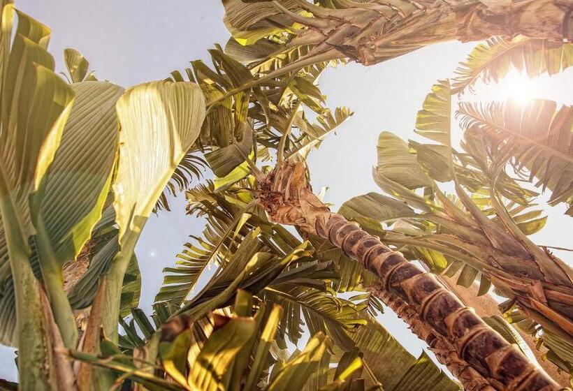 Bed and Breakfast Affittacamere Villa Masá