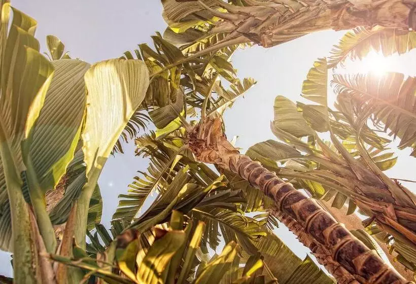 تختخواب و صبحانه Affittacamere Villa Masá