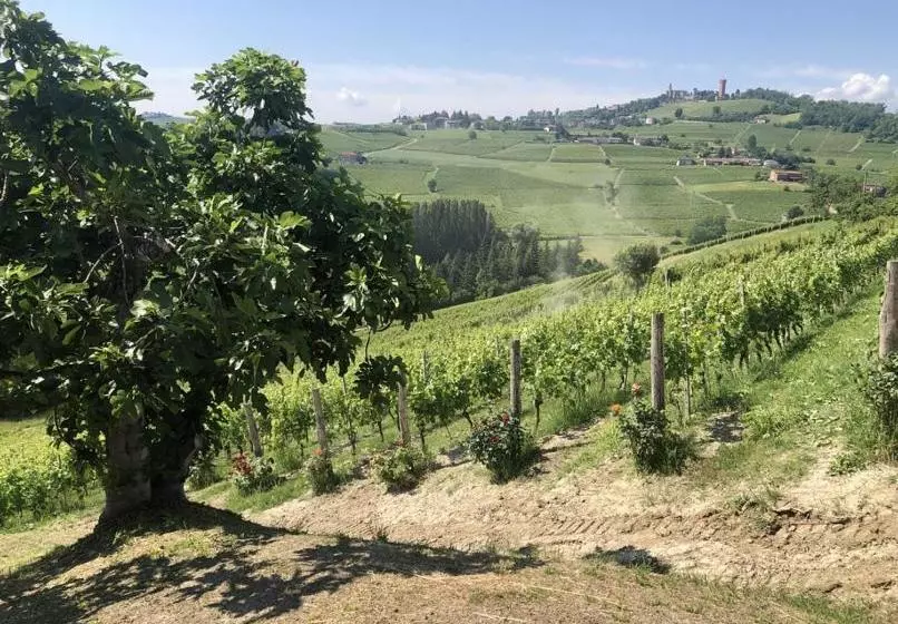 Aamiaismajoitus (B&B) Tenuta Le More