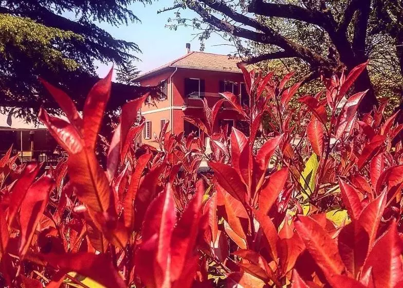 Bed and Breakfast Tommy Vitello Camere