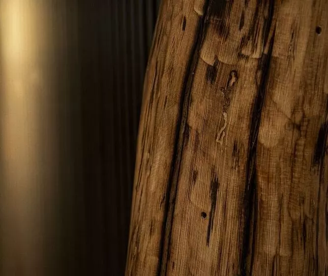 Hotelli Holzfellas Home