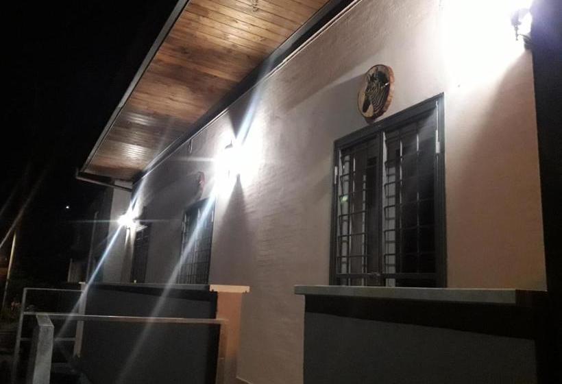 민박 Big Mama Jungle Rooms