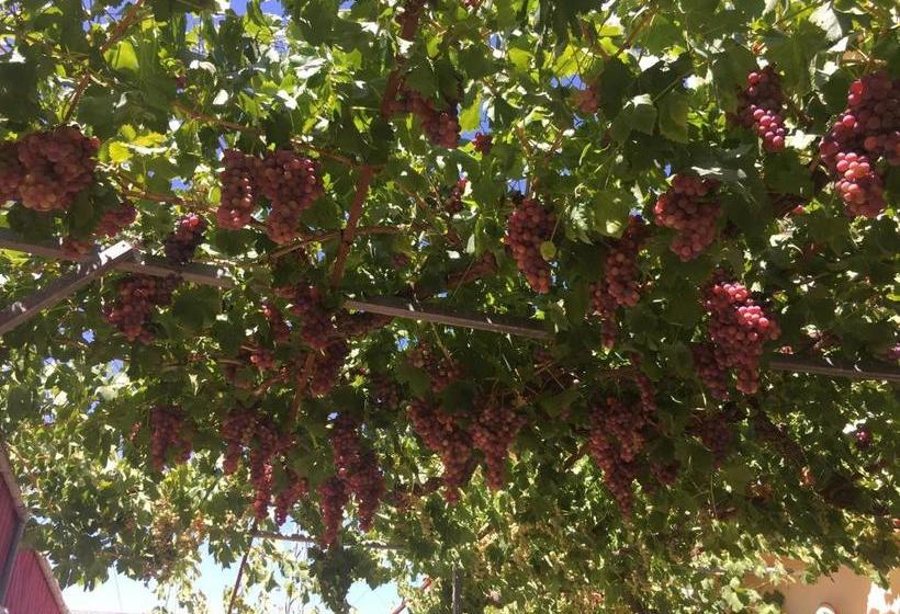 Habitaciones Rurales Venta Pedro