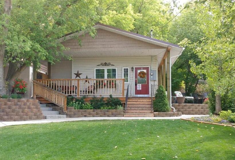 ホテル Alpaca Inn