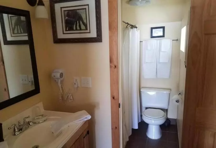 ホテル Alpaca Inn