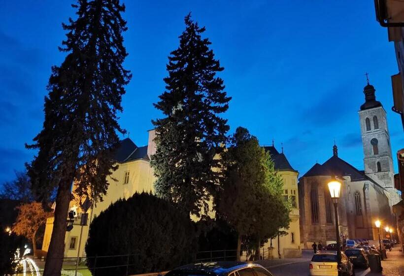 Panzió Apartmány U Koudelníka