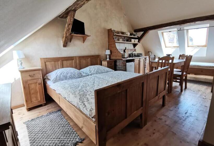 Panzió Apartmány U Koudelníka