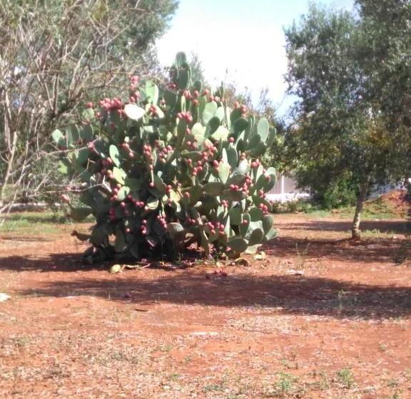 پانسیون Casa Bianca Alme