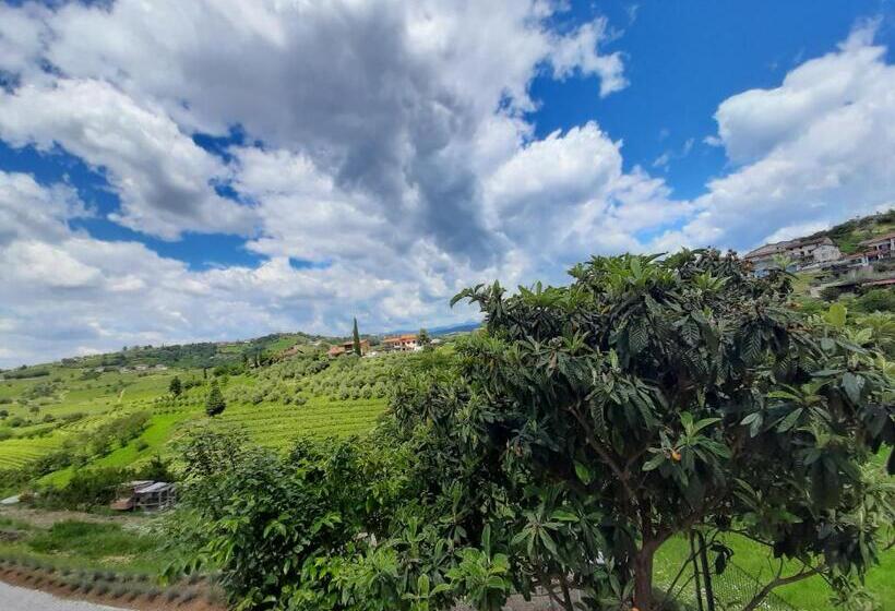 تختخواب و صبحانه Dvor Vipolže