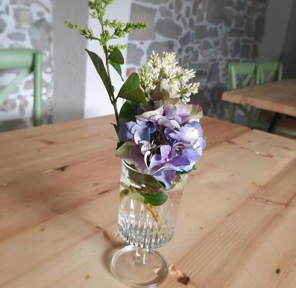 تختخواب و صبحانه Dvor Vipolže