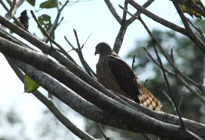 Aamiaismajoitus (B&B) Pacuare Turrialba