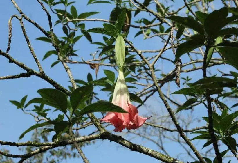 Aamiaismajoitus (B&B) Pacuare Turrialba