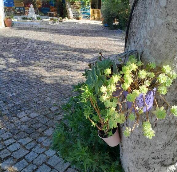 تختخواب و صبحانه Refugio Das Artes