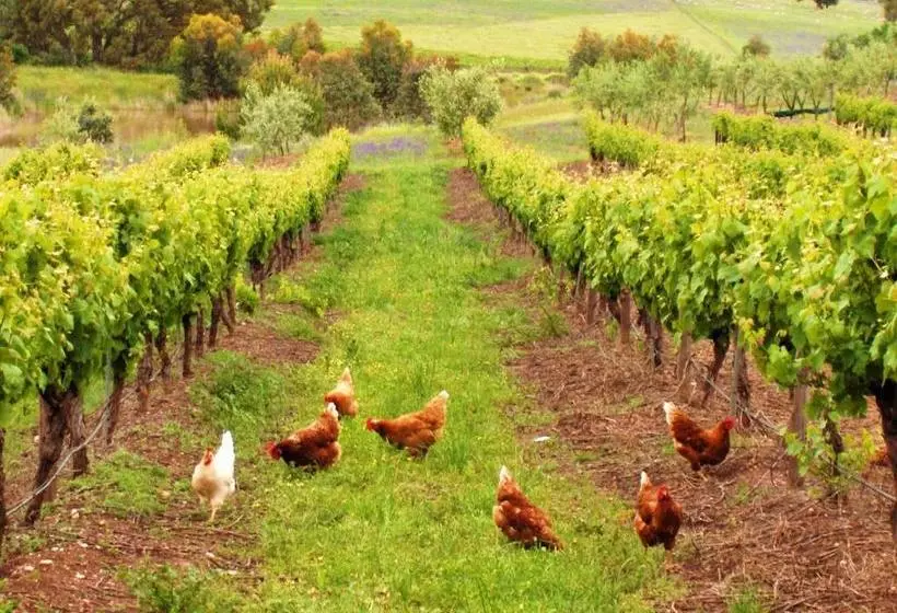 Aamiaismajoitus (B&B) Lucy's Cottage