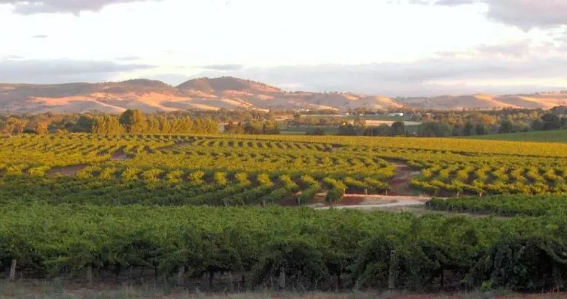 Aamiaismajoitus (B&B) Lucy's Cottage