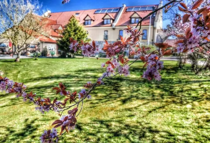 Hotelli Und Restaurant Rittergut Kreipitzsch