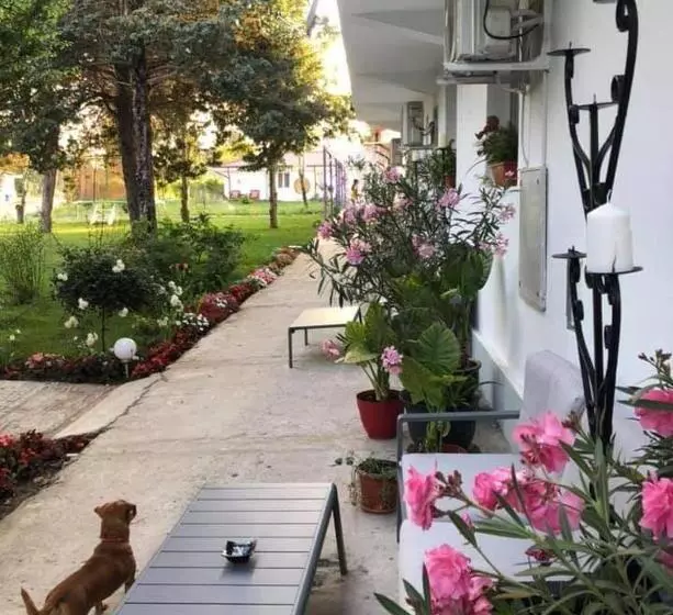 پانسیون Boemul Neptun