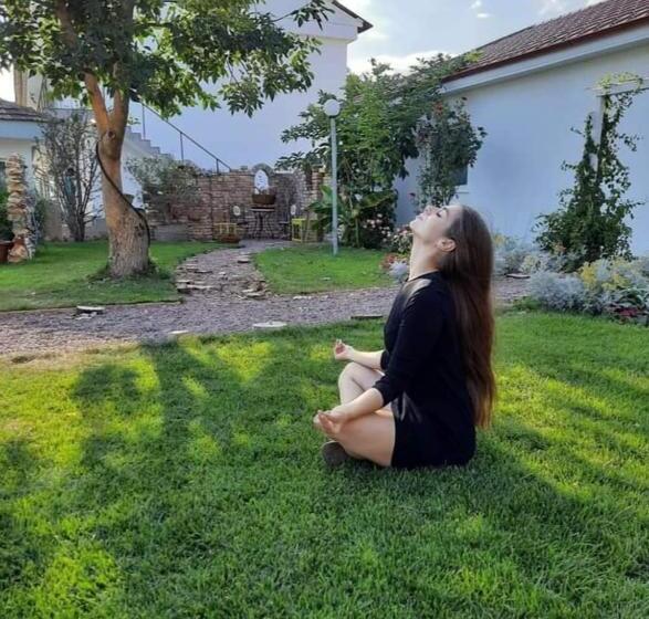 Pensão Boemul Neptun