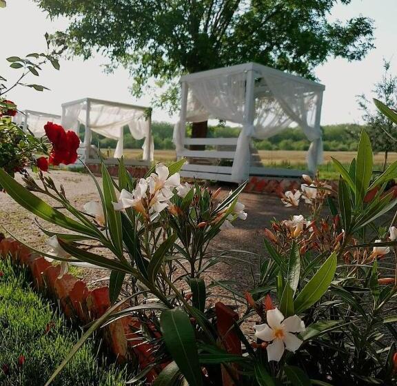 Pensão Boemul Neptun