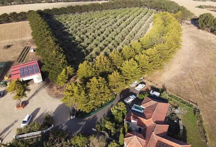 Majatalo Omaru Farm Stay