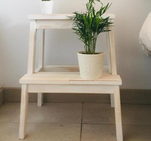 پانسیون The Little Caravia