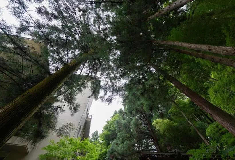 ریوکان Sakahijiri Nikko