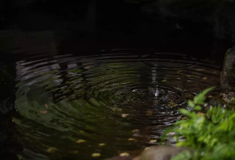 ریوکان Sakahijiri Nikko