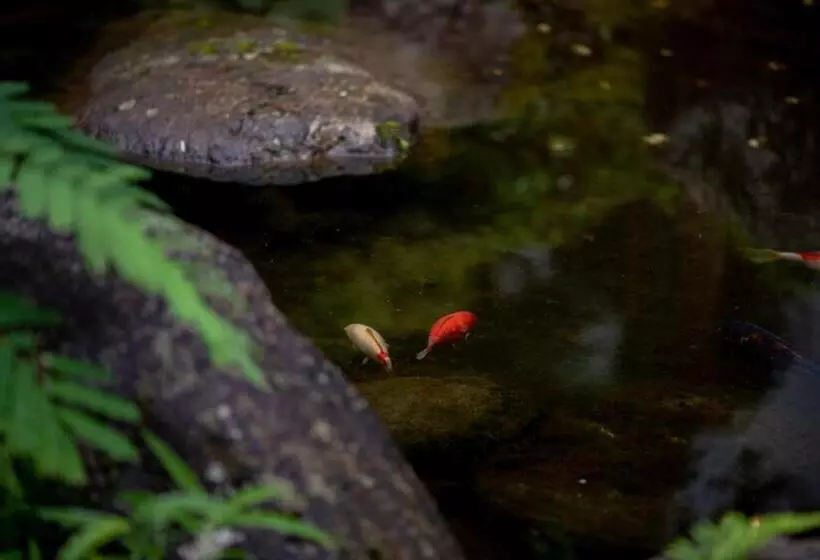 ریوکان Sakahijiri Nikko