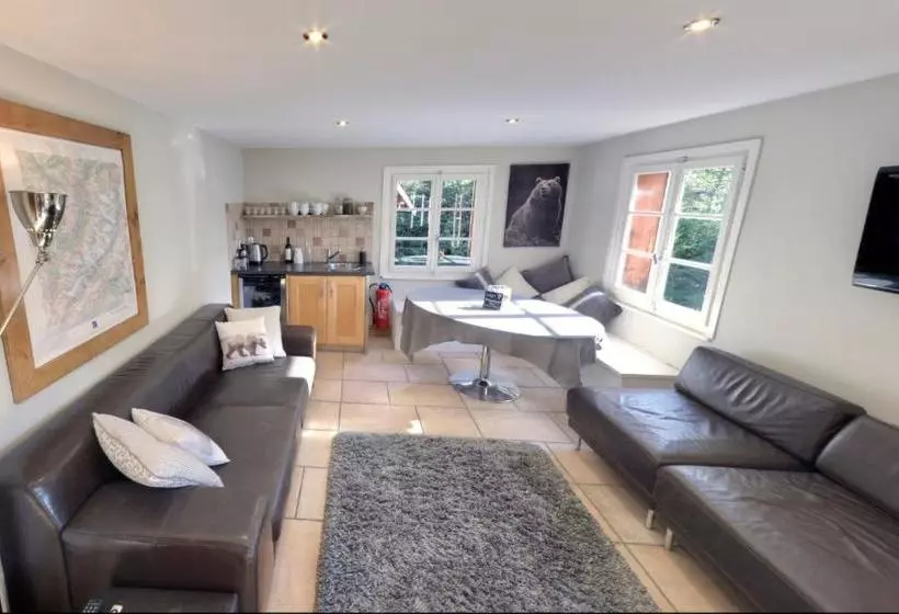 The Castle, 10 Bedroom Chalet, Chamonix Centre