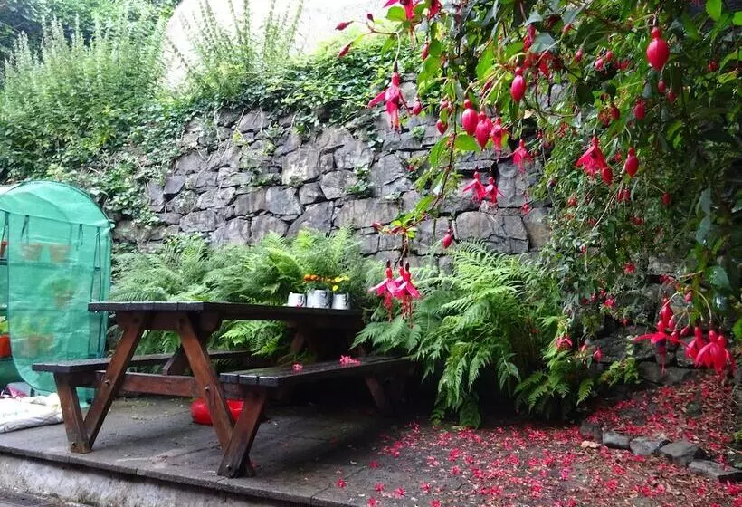 Tobermory Youth Hostel