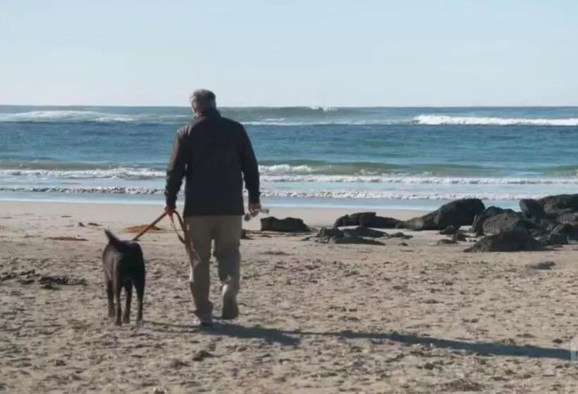 Retkeilymaja Port Fairy Yha