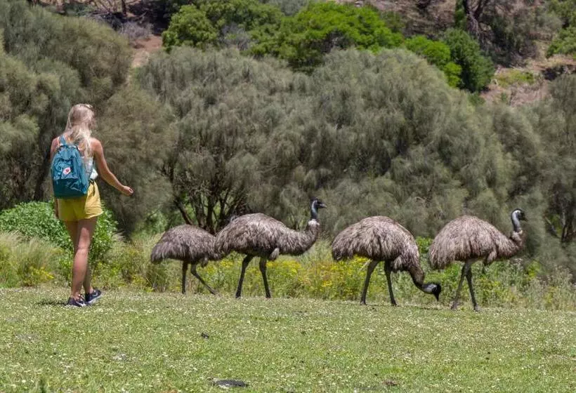Retkeilymaja Port Fairy Yha