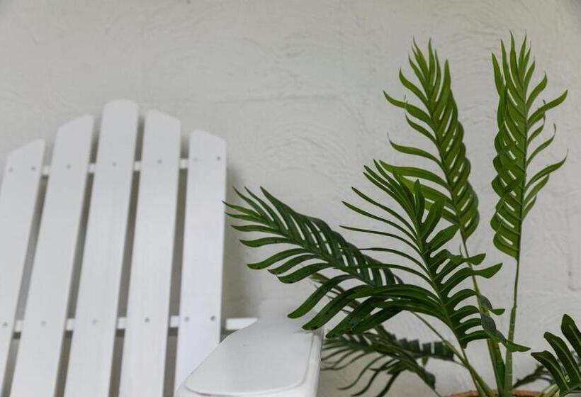 Freedom Backpackers Hostel Rainbow Beach