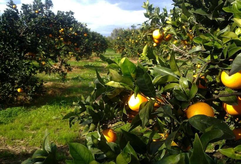 Отель Agriturismo Su Canonigu