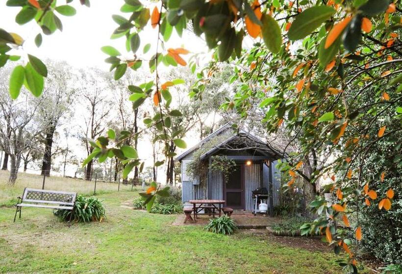 Отель Stay In Mudgee   The Grove