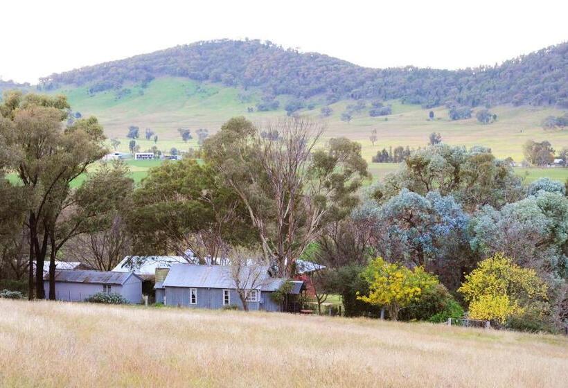 Отель Stay In Mudgee   The Grove