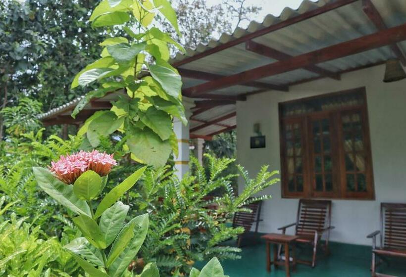 پانسیون Flora Ravi Villa