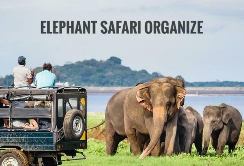 پانسیون Flora Ravi Villa