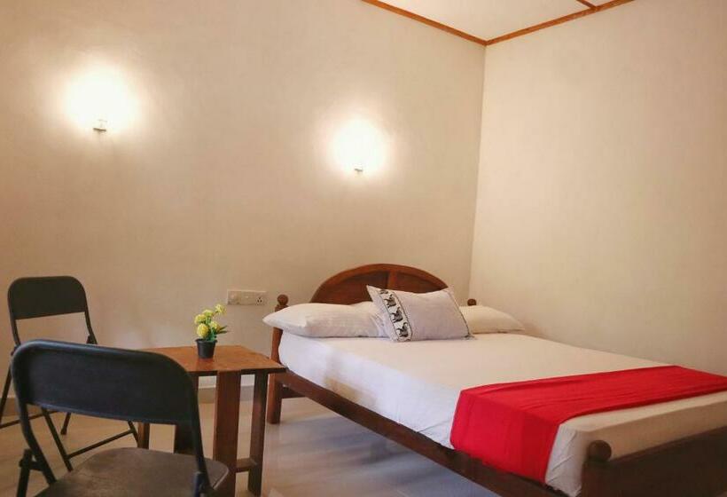 پانسیون Flora Ravi Villa