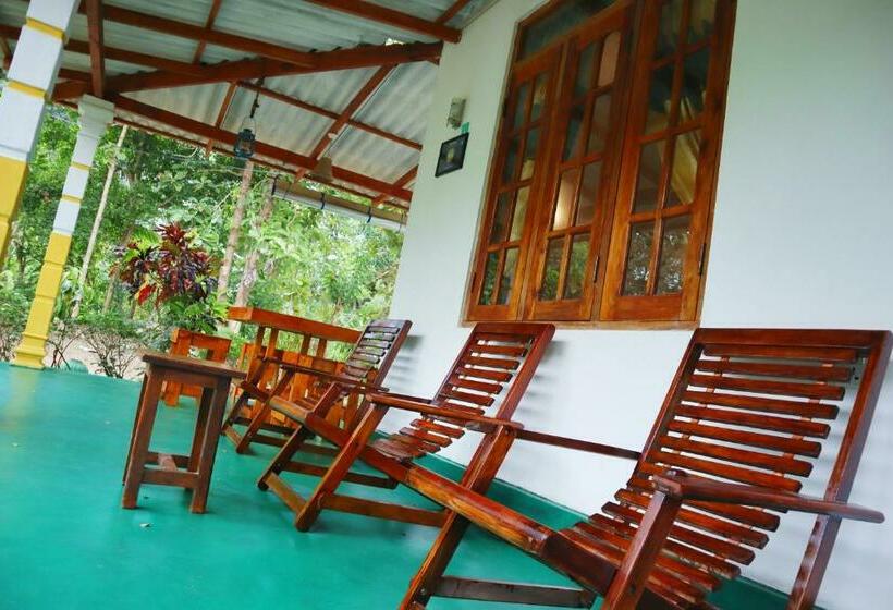 پانسیون Flora Ravi Villa