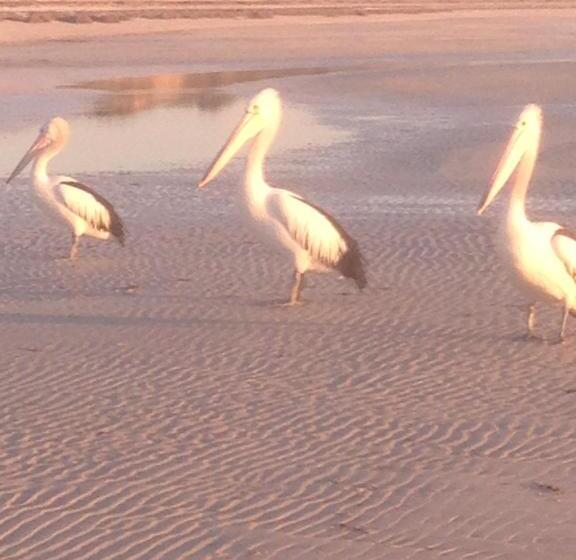 Bed & Breakfast Perlubie Sea